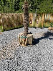 Gravel gardens