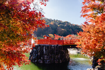 勝尾寺　弁天堂と池の紅葉