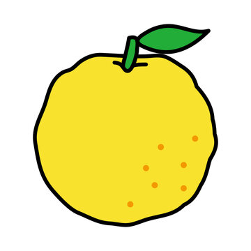 葉のついた柚子のイラスト