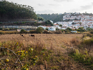 View of the Odeceixe, white houses traditional village and grass field with grazing horses. Alentejo, Portugal.