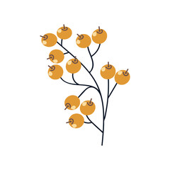 Vector Colorful illustration of plant with yellow berries isolated on white background