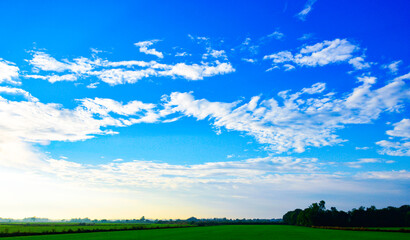 A view of the sky with clear weather. In the morning, the lush green fields are outdoors.  agricultural landscape  background design template for book cover magazine website