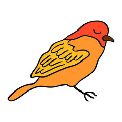 Vector Colorful Illustration of Bird Isolated on White Background