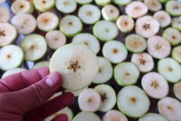 drying homemade apples, drying apples, sliced apple slices left to dry,