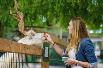 Young european woman feeding fluffy big goat. Happy excited adult feeds animal in a wildlife park. Family leisure and activity for vacations or weekend