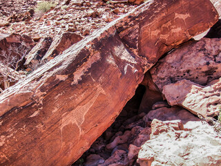 Petroglyph in Petrified Forest, Namibia, Africa.African animals are represented on the stone by ancient men.ancestral artworks are immortalized on red stone blocks