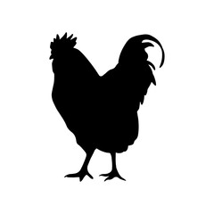 Rooster simple outline graphic icon isolated on white background. Farm bird logo design element. Black silhouette in line art style.