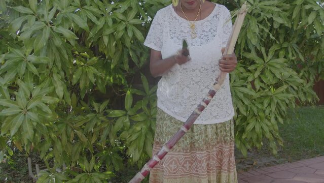 Woman cutting large sugar cane