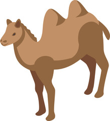 Bedouin camel icon isometric vector. Desert camp. Arab islamic