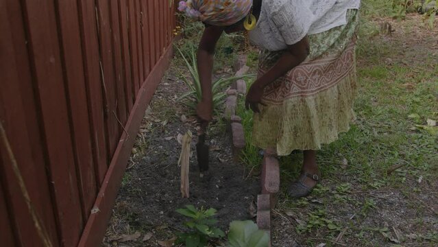 Woman planting sugar cane in soil