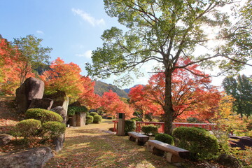 秋の日本庭園