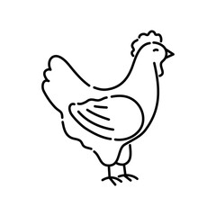 Chicken doodle icon. Hand drawn black sketch. Vector Illustration.