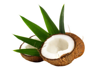 Coconut with Leaves - PNG Transparent