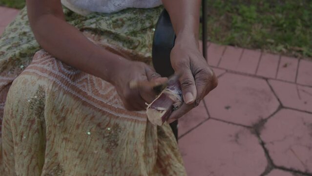 Woman cutting sugar cane into bowl