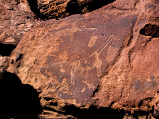 Petroglyph in Petrified Forest, Namibia, AfricaAfrican animals are represented on the stone by ancient men.ancestral artworks are immortalized on red stone blocks