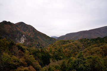 Fototapeta premium 秋の山並み