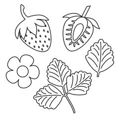 Vector illustration. Collection of black and white strawberry icons.