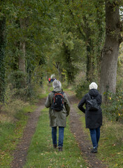 walkers in nature, reestdal, de wijk netherlands, strolling