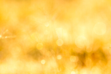 abstract background with bokeh