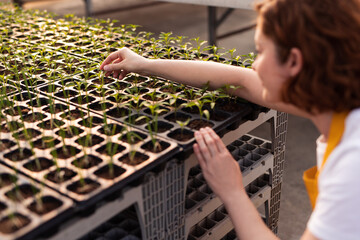 Woman checking seedlings in pots