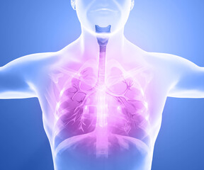 Human anatomy, problems with the respiratory system, severely damaged lungs. Bilateral pneumonia. Covid-19, coronavirus. Patient and smoke. Smoker. 3d rendering - obrazy, fototapety, plakaty