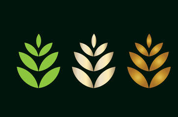 green plant wheat development process ripening simple logo concept
