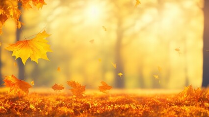Naklejka na ściany i meble Landscape autumn leaves falling natural background. Colorful autumn background. Falling leaves natural background copy space