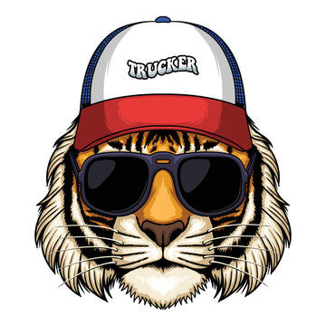 Tiger Head Wearing Trucker Hat Cap Vector Illustration
