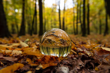 Nice crystal boll in autumn forest, abstract and nature