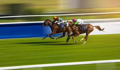 Poster Two jockeys compete to win the race. Horse racing. Horses with jockeys running towards finish line. © vladimirhodac