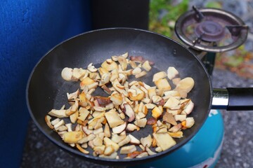 Camping frying mushrooms in Norway