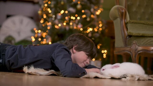 Merry Christmas and Happy new year. Happy cheerful boy is playing with a little cute rabbit in a cozy decorated room