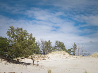 Sand dunes in Stilo, Leba Poland. - obrazy, fototapety, plakaty