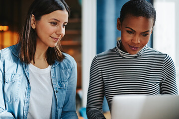 Two smiling young female entrepreneurs working together on a laptop
