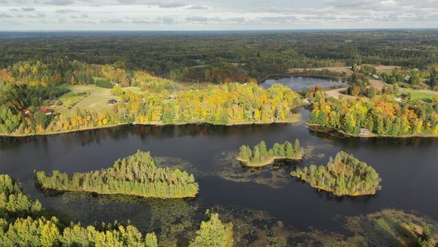 Many small islands aerial drone view. Summer vacation place. Autumnal view. Flat landscape. Small green islands with forest inside the lake. Green summer landscape. Autumnal view. 
