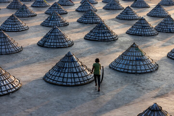 Brahmanbaria , Bangladesh - 15 August 2021: Aerial view of kids playing in a rice field in Brahmanbaria, Bangladesh.