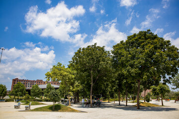 Obraz premium park in the city