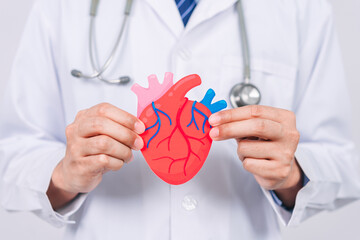 doctor in a white coat holding heart organ paper cut, heart anatomy, heart attack, heart disease,...