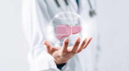 doctor in uniform hands holding liver organ virtual icon, hepatitis vaccination, liver cancer treatment. Health checkup concept.