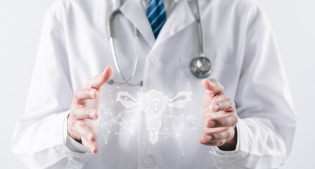doctor in a white coat holding virtual uterus reproductive system , woman health, PCOS, ovary...
