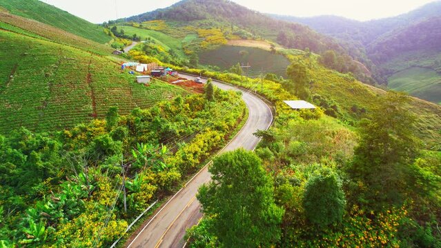 Drones are flying above countryside during sunrise, landscape of green and yellow mountains and agricultural areas. farmland in tropical. Thailand. cultivation concept. cultivation industry. 4K
