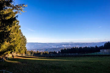 Die Käsplatte ist ein Berg im Bayerischen Wald mit Gipfelkreuz bei St. Englmar