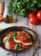 A bowl with traditional Italian caprese salad