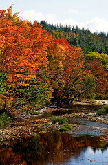 Stream and fall colors, near Dixville, New Hampshire