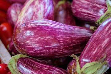Close up of fresh eggplant in Farmer's Market