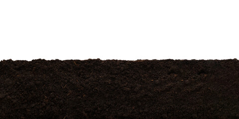 Wide layer of garden brown soil isolated on a transparent background. - obrazy, fototapety, plakaty