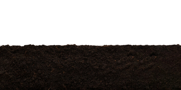 Wide layer of garden brown soil isolated on a transparent background.