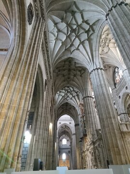 Interior Catedral 