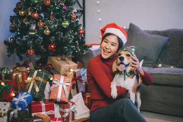 Happy asian woman with beagle dog at livingroom with christmas decorated, preparing gift for...