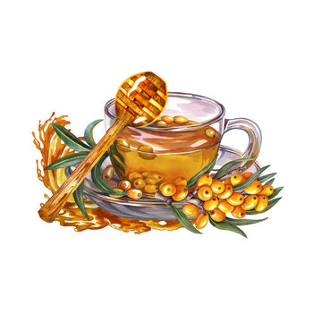 A cup of tea with sea buckthorn and honey. Watercolor illustration. Useful vitamin drink for colds.